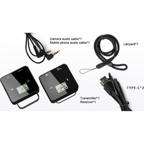 Feidu FM40 UHF Portable Mini Wireless Lavalier Mic for Smartphone DSLR Camera