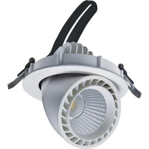 LED trunk light COB LED gimbal light 40W Warm White Cold White COB LED gimble lamp rotatable led downlight Adjustable