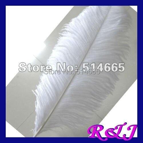 EMS Free shipping Cheap ostrich feather 50pcs 18-20 inches 45-50cm white Ostrich plumage ostrich plume