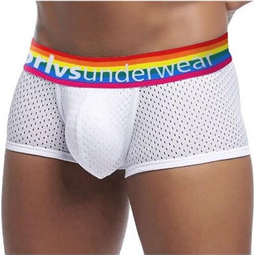 Sexy Men Underwear Flexible Breathable Mesh Men Underpants Fashion Simple Men Boxers Perfect Fit