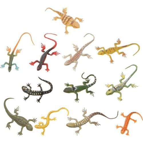 Biology Textbooks TOYMYTOY China