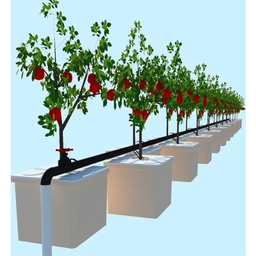 JUANER Greenhouses China