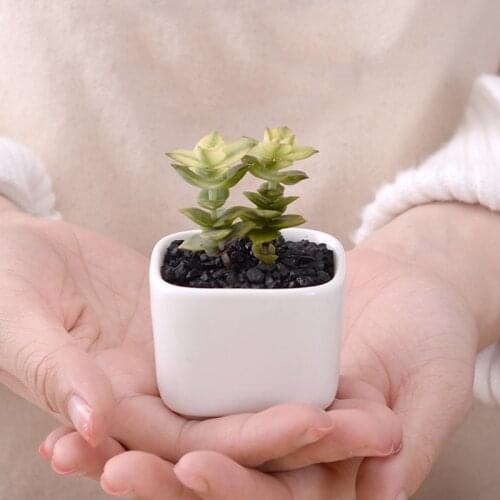 White Mini Flower Pot Planter Bonsai Desktop Ornaments Ceramic Vase Home Office Decor Garden Supplies Succulent Pot Plant Pot