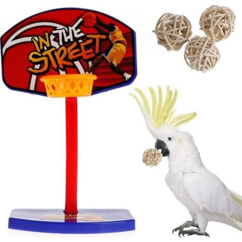 Pet Bird Toys Parrot Game Basketball Hoop Trick Prop Balls Training