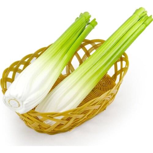 050 Simulation of PU Celery fake vegetable model