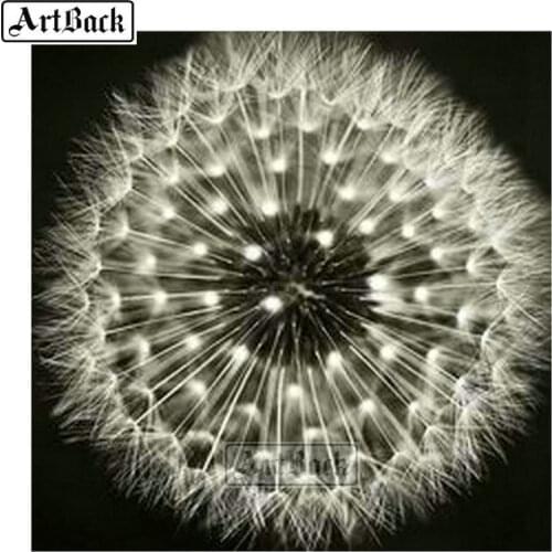 New 5D diamond painting dandelion full square drill rhinestone 3d diamond mosaic rhinestone home decoration FR41