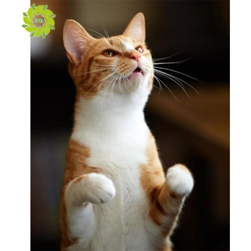 SNA Full Square/Round Drill 5D DIY Diamond Painting "Cat" 3D Embroidery Cross Stitch 5D Home Decor Gift