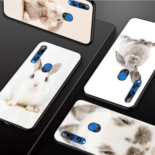Cute Rabbits Tempered Glass Phone Case For Huawei honor 8X 9 10i 20i 20Lite 20Pro 30 Pro Cover Shell