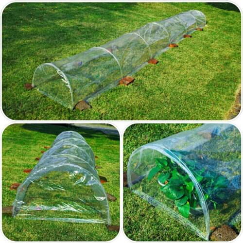 High Quality Mini Garden Greenhouse 5 Meters Length Transparent Tunnel Greenhouses For Planting Vegetable Seedling