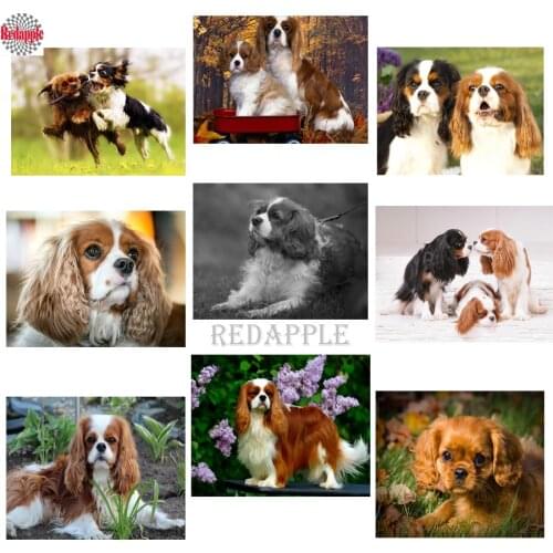 Diamond painting cross stitch Cavalier King Charles Spaniel full square 5d diy diamond embroidery cute pet diamond mosaic dog
