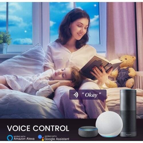 Nite Bird Smart Light Bulb Nite Bird Dimmable WiFi Bulbs Works With Alexa Echo And Google Tmall Genie Smart Home 2021 New