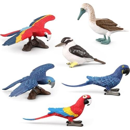 6 Kidns Simulation Bird Animal Figure Collectible Toys Animal Action Figures Kids Plastic Cement Toys