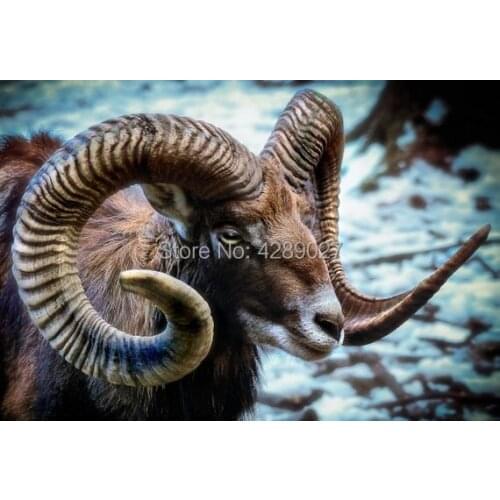Full Drill Square & Round Diamond Painting Mouflon Embroidery 5D DIY Cross Stitch Kit Rhinestone Mosaic Painting Home Decor Gift