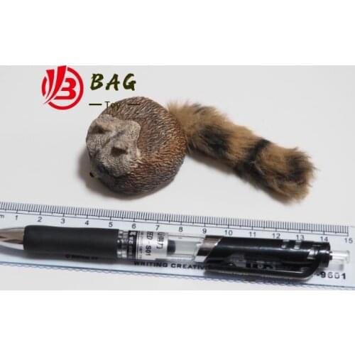 1/6 of the Action Figures Model DAMTOYS VTS TOYS VM026 the cowboys of the west Raccoon hat