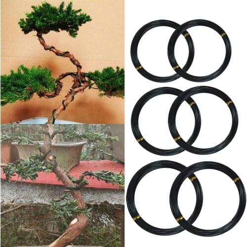 6 Roll 5m Aluminum Trees Training Wires Garden Bonsai Beginners Trainers Artists Plants Trees Training Wire 1mm/1.5mm/2mm Black