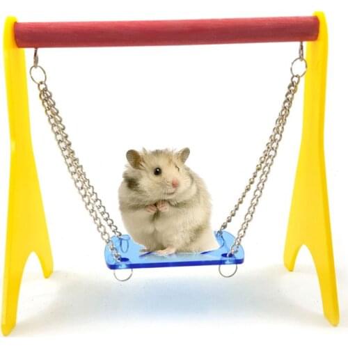 Acrylic Swing Chicken Toy with Hanging Chain Baby Chick Perch Cage Training Stand Holder for Bird Parrot Hens Macaw