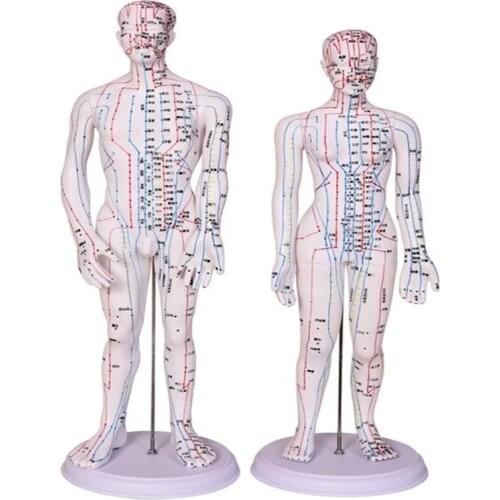 50CM Male Lettering acupuncture point body mannequin of acupuncture, Medical Research massage reflex zone teaching model C518