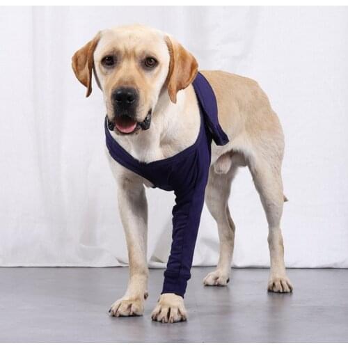 Pet Dog Support Brace for Front Leg Dog Anti-licking Protector Sleeve Hock Joint Wrap Breathable Injury Recover Legs Pad, 8Sizes