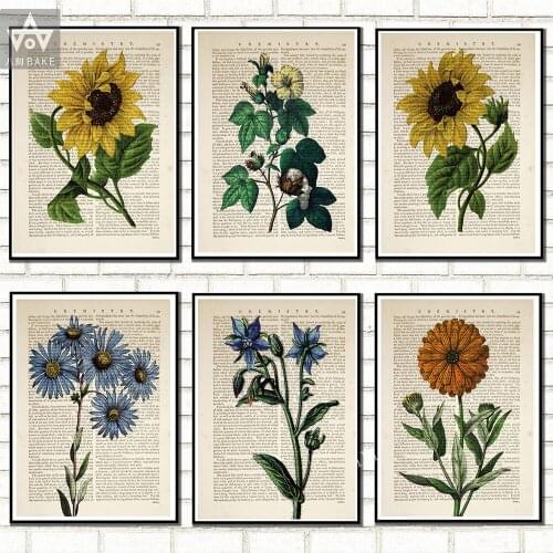 Retro Botanical Newspaper Poster Sun Flower Chrysanthemum Identification Chart Diagram Illustration Wall Art Canvas Painting