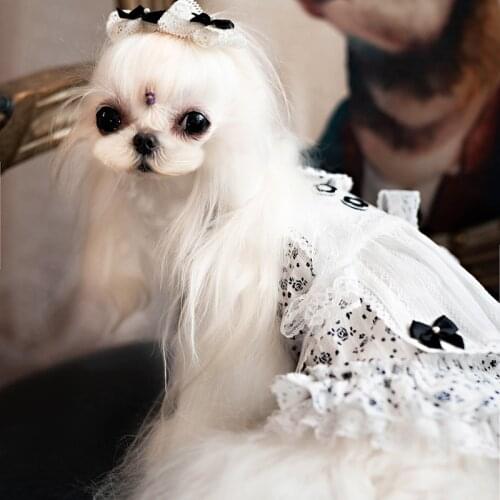 Chihuahua Yorkshire Terrier Puppy Small Dog Dress Skirt Cute Female Dog Clothes Pet Clothing Pomeranian Poodle Schnauzer Costume