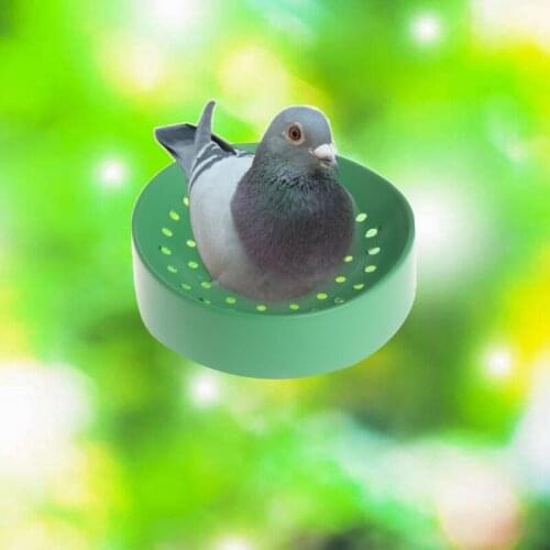 2021 New Pigeon Supplies Plastic Dehumidification Breeding Bird Eggs Basin Nest Bowl Mat