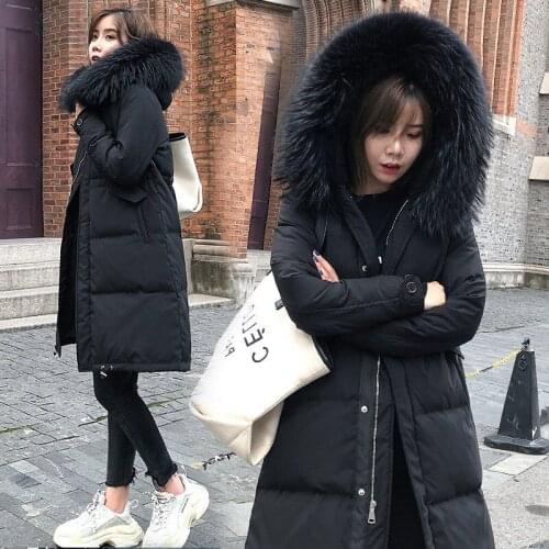 2020, new winter coat, duck women hooded raccoon fur collar, long womens jackets, down jacket