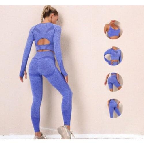 Yoga Set Solid Color Seamless Ladies Workout Wear Sportswear Gym Long Sleeve Workout Wear Sports Tights and Bra