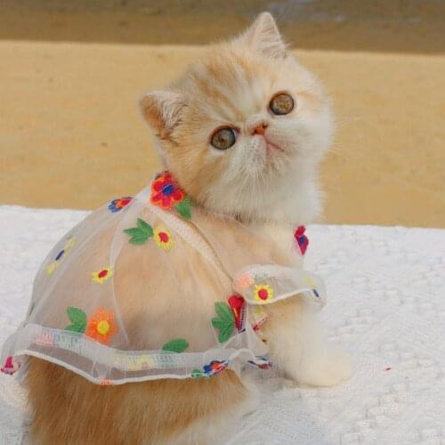 Sweet Lovely Spring / Summer Cooling Cat Dress, Floral Design Cat Gown