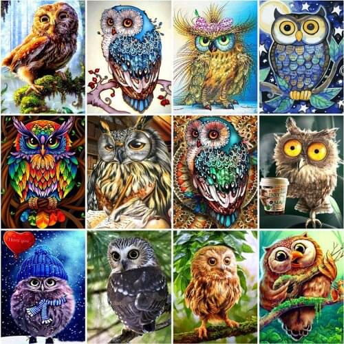 EverShine DIY Diamond Embroidery Animals Handicrafts Full Square Drill Diamond Painting Owl Cross Stitch Kits Handmade Hobby