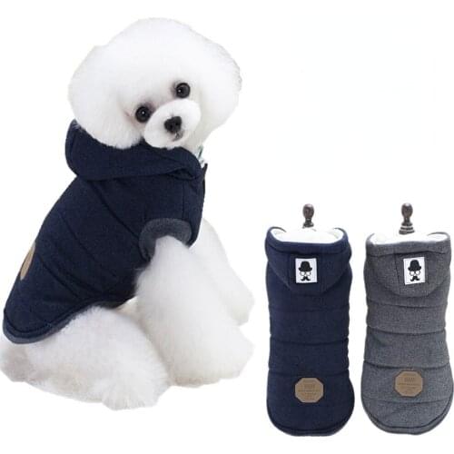 Dog Coat Dog Clothes Autumn and Winter Clothes Teddy Dog Pet Clothes Moustache Two-legged Cotton-padded Clothes Pet Clothes