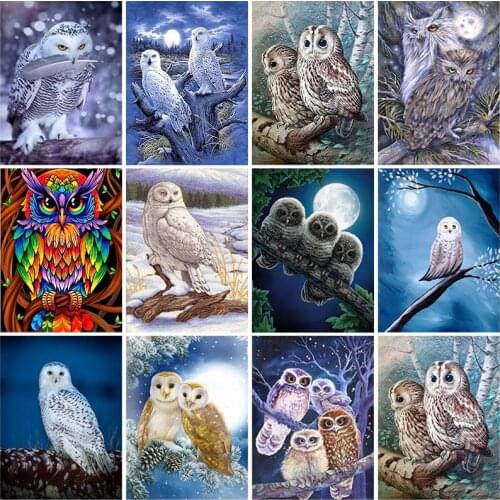 DIY Owl 5D Diamond Painting Full Square/Round Rhinestone Animal Diamond Embroidery Cross Stitch Kits Wall Art Home Decor Gift