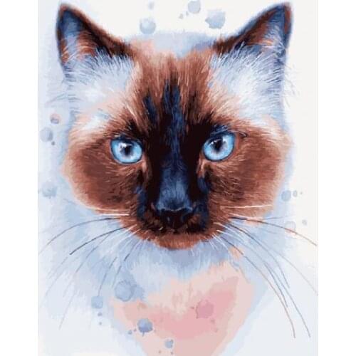 Blue-eyed cat DIY Framed Oil Painting By Numbers Animal Pictures Canvas Painting For Living Room Wall Art Home Decor