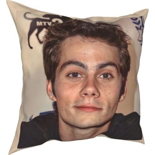 HD Dylan O'Brien Floor Pillows Cases Teen Wolf Maze Runner Pillows Covers Custom zipper Decorative cushion cover for Home 18