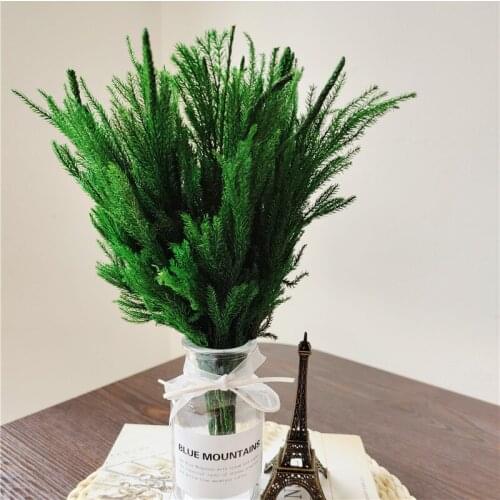 Natural Dried Flower Preserved Plants Club Moss Home Decor Wedding Decoration Furnishing Articles Bouquet For DIY Party Festival