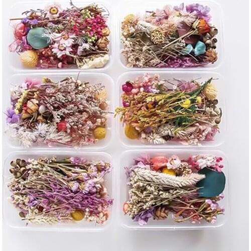 1Box Dried Flowers DIY Dry Plant Filling Pressed Flower Art Aromatherapy Candle Floral Decors Epoxy Resin Jewelry Decorative