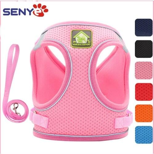 Pet Dog Adjustable Harness with Leash Summer Towable Reflective And Breathable Puppy Outdoor Walking Vest Chest Strap