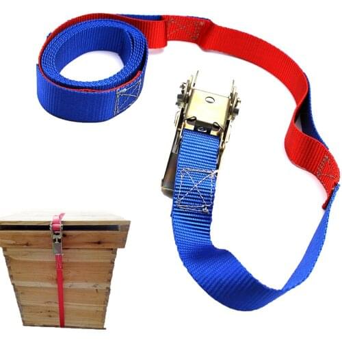 2PCS Beekeeping Tools Ratchet Hive Strap Tie Tire Fixed Bindling Belt Transfer Lock Truck Rope Tie Fastening Bee Tool Supplies