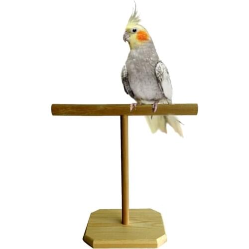 Wooden Parrot Perch T Perch