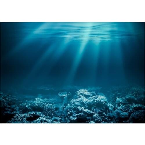 3D Wall Sticker Art Decor Poster Undersea Decorative Aquarium 3D Background Sticker Fish Tank Wall Decoration Painting PVC