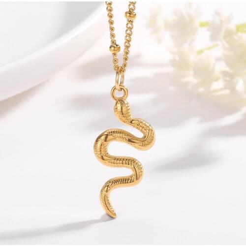 Fashion Snake Necklace Stainless Steel Chain For Women Gift Hip Hop Jewelrys Simple Snake Pendant 2021 Trend Fashion Jewelry