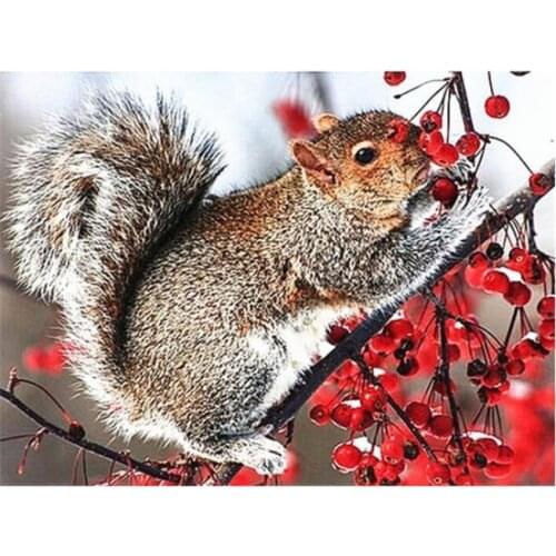 Diy animals diamond painting squirrel full round rhinestone embroidery picture puzzle diamond art drawing wall sticker decor