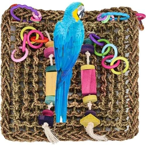 Bird Foraging Wall Toy Perch Stand Braid Rope Climbing Ladder for Large Parrot Cockatoo African Grey Macaw Eclectus Amazon