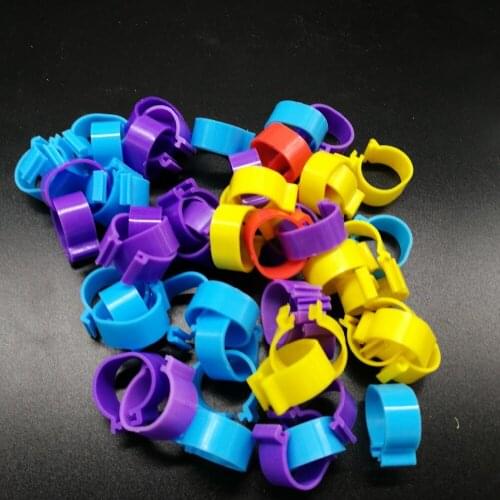 100Pcs Chicken Leg Bands 20 mm Chicken Poultry Rings 5 Colors Pigeon Geese Quail Bird Ring Carry tools Feeding Logo