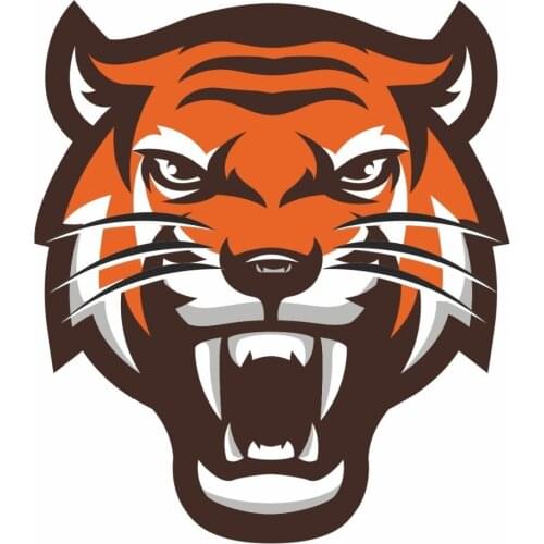 Roaring Tiger Sticker Plane Extreme