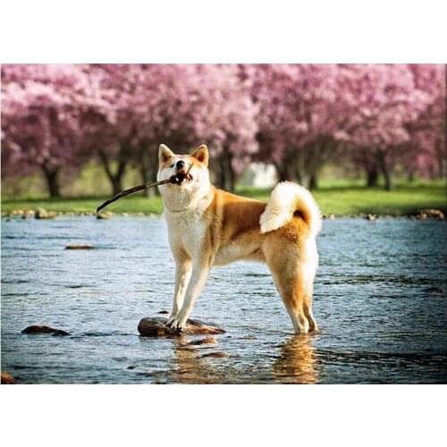 Diamond Embroidery River Husky Dogs Needlework 5D DIY Diamond Painting Animals Full Square Rhinestone Mosaic Home Decor C464