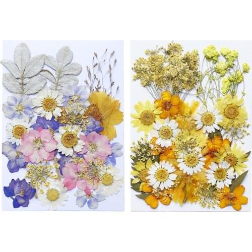 Real Dried Pressed Flowers Dry Petals Mixed Natural Dried Flowers for Epoxy Resin Jewelry DIY Decor