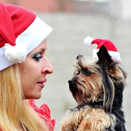 40 Pcs Classic Santa Claus Plush Soft Thick Pet Dog Cat Christmas Hat New Year Gift Decoration Headwear Clothing Accessories