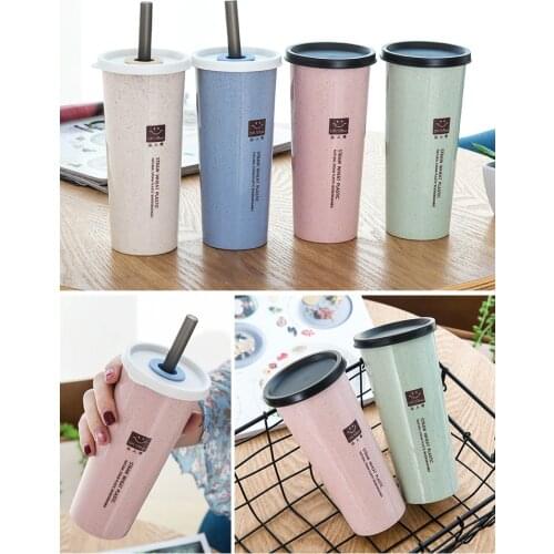 1PC BPA Free Wheat Straw Japanese Style Sports Water Bottle with Straw Travel Water Bottle for Home Office NX 002
