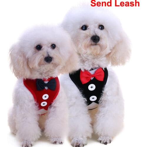 Party Wedding Pet Dog Vests Tuxedo Bowtie New Apparel Vest Clothes With Leash Warm Dog Cat Puppy Adidog Pet Costumes