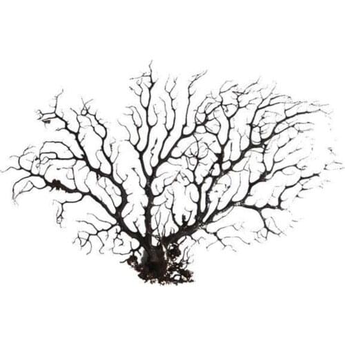 The 28cm Big Black Sea Fan Fish Tank Aquarium Decoration, Sea Coral Ornament